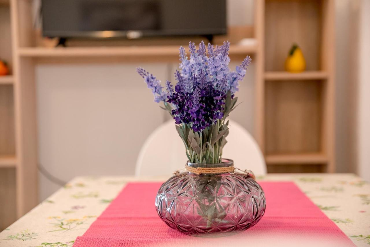 Apartments Mitrovic Лущица Екстериор снимка